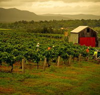 Around Hermitage Wine and Food Trail Hunter Valley - Tourism Gold Coast