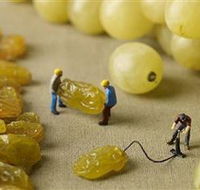 Hunter Valley Wine School - Tourism Gold Coast