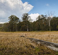 Mummel Gulf National Park - Gold Coast