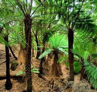 Pegarah Private Nature Reserve  Parenna Place - Tourism Gold Coast