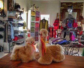 Australian Alpaca Barn - Hunter Valley Gardens - Tourism Gold Coast 2