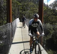 McGees Cycling Store - Tourism Gold Coast
