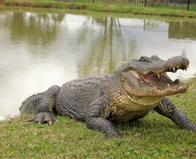 Hunter Valley Zoo - Tourism Gold Coast 1