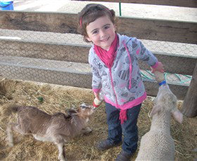 Hunter Valley Zoo - Tourism Gold Coast 4