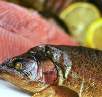 Lovedale Smokehouse Gourmet Pantry Cafe and Masterclasses - Tourism Gold Coast