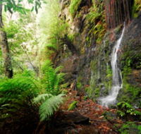 Fairy Bower Falls - Tourism Gold Coast