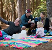 State Forests of the Watagan Mountains - Tourism Gold Coast