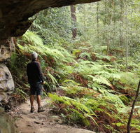 Dharug National Park - Tourism Gold Coast