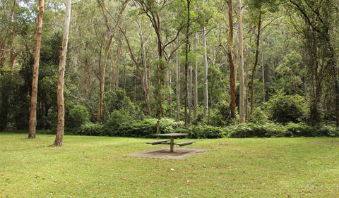 Dharug National Park - Tourism Gold Coast 3