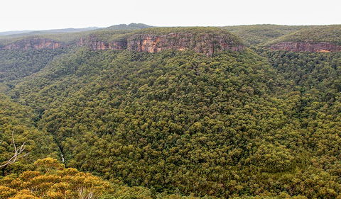 Riverview Walking Track - Tourism Gold Coast 3
