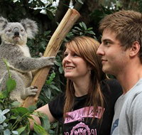 Featherdale Wildlife Park - Tourism Gold Coast
