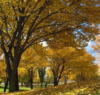 Centennial Park at Cooma - Tourism Gold Coast