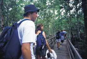 Bellthorpe National Park - Gold Coast 0