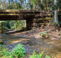 Myrtle Scrub scenic drive - Gold Coast