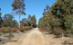 Werakata National Park - thumb 0