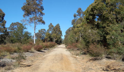Werakata National Park - Tourism Gold Coast 0