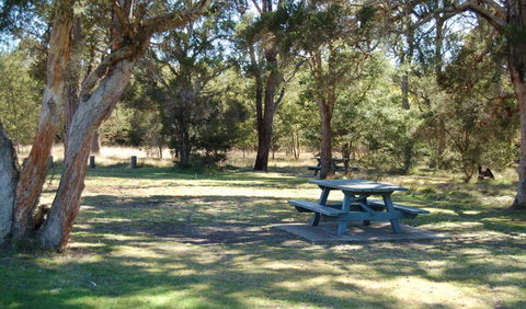 Werakata National Park - Tourism Gold Coast 1
