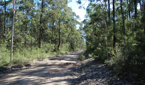 Werakata National Park - Tourism Gold Coast 2