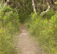 Three Views walking track - Tourism Gold Coast
