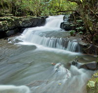 Jerusalem Creek trail - Tourism Gold Coast