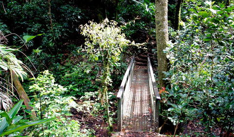 Richmond Range National Park - Gold Coast 0