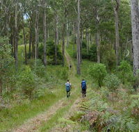 The Green Gully track - Gold Coast