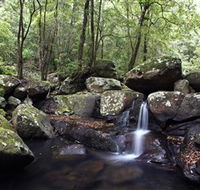 Kangaroo River - Tourism Gold Coast