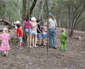 Walkabout Creek - Tourism Gold Coast 3