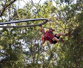 TreeTops Crazy Rider - Tourism Gold Coast 1