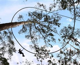 TreeTops Crazy Rider - Tourism Gold Coast 0