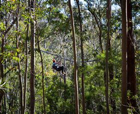 TreeTops Crazy Rider - Tourism Gold Coast 3