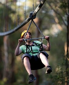 TreeTops Crazy Rider - Tourism Gold Coast 2