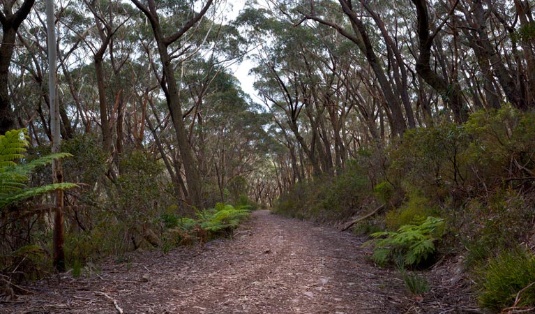 Yadboro NSW Tourism Gold Coast