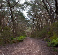 Budawang National Park - Tourism Gold Coast