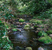 Macquarie Pass National Park - Tourism Gold Coast