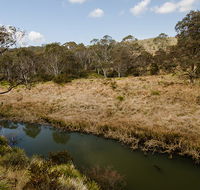Werrikimbe National Park - Gold Coast