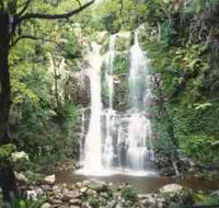 Budderoo National Park - The Falls Walk - Tourism Gold Coast
