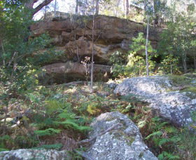 Nowra East NSW Tourism Gold Coast