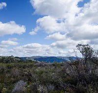 Barren Grounds Nature Reserve - Tourism Gold Coast