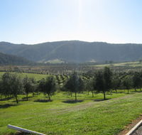 Hastings Valley Olives - Gold Coast