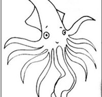 Squid Studio - Tourism Gold Coast