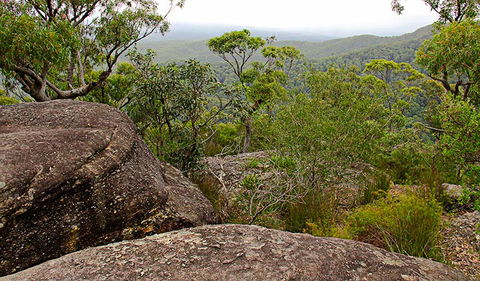 Pigeon House Mountain Didthul Walking Track - Tourism Gold Coast 1