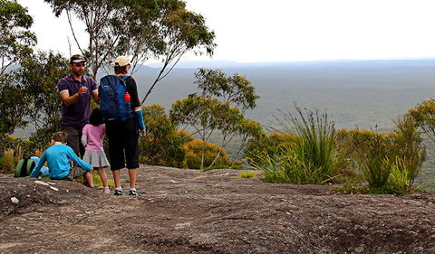 Pigeon House Mountain Didthul Walking Track - Tourism Gold Coast 2