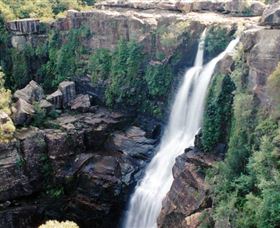 Minnamurra Rainforest Centre: Budderoo National Park - Tourism Gold Coast 0