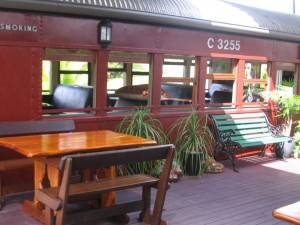 Red Rattlers Gallery - Tourism Gold Coast 5