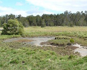 Boondall Wetlands Reserve - Tourism Gold Coast 1