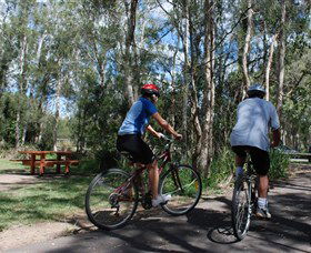 Boondall Wetlands Reserve - Tourism Gold Coast 2