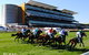 Royal Randwick Racecourse - thumb 0