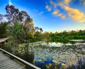 Berrinba Wetlands - Tourism Gold Coast 0