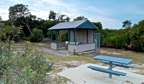 Tea Tree Picnic Area And Lookout - Tourism Gold Coast 1